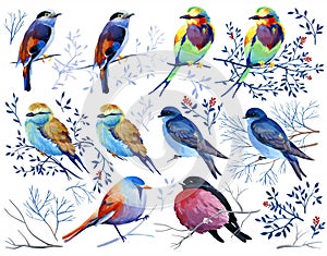 Gouache collection of birds on branches and leaves