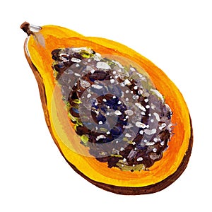 Gouache half of the papaya. Hand-drawn clipart for art work and weddind design