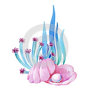Gouache pink shell with sea anemone and aglae. Hand-drawn clipart for art work and weddind design