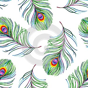 Gouache seamless exotic pattern with colorful peacock feathers