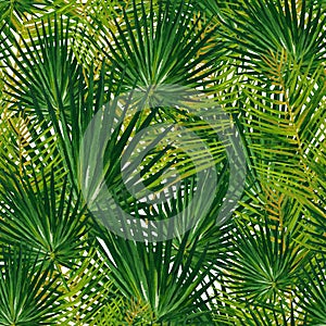 Gouache seamless pattern with tropic leaves. Hand-drawn clipart for art work and weddind design