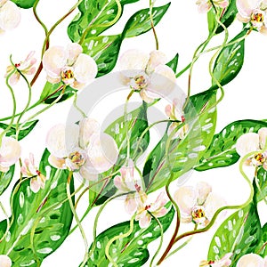 Gouache seamless tropical pattern with white orchids and green leaves