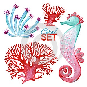 Gouache set with red coral, sea anemone and seahorses for art work and weddind design