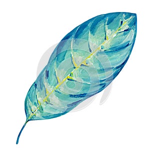 Gouache tropic blue leaf. Hand-drawn clipart for art work and weddind design