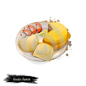 Gouda cheese on plate with tomatoes digital art illustration isolated on white. Fresh dairy product, healthy organic food in