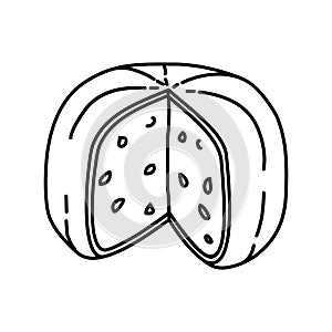 Gouda Holland Cheese Icon. Doodle Hand Drawn or Outline Icon Style