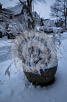 Gouda, South Holland/The Netherlands - February 7 2021: Planted grass in a small plant pot in front of a house completely coated