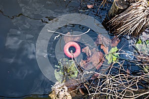 Gouda  South Holland The Netherlands - January 22 2021: Red rubber ring maybe a dog toy in the water floating among leafs plants