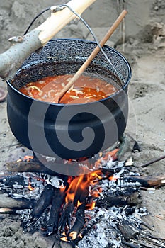 Goulash photo