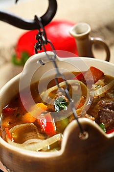 Goulash in the pot