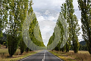 Gould Memorial Drive between Buxton and Marysville in Victoria, Australia