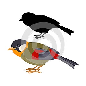 Gouldian Finch vector illustration flat style black