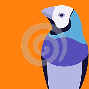 Gouldian finch vector illustration flat style profile