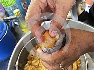 Gourami eggs sold in the fish market, working women's hands
