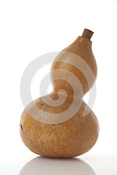 Gourd