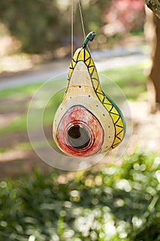 Gourd birdhouse hanging in a tree photo