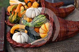 Gourd Cornucopias