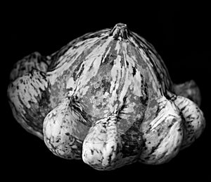 Gourd(Lagendaria vulgaris)