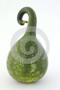 Gourd - Speckled Swan