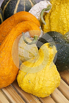 Gourds