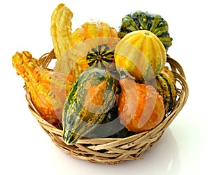 Gourds