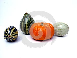 Gourds