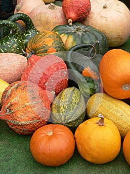 Gourds