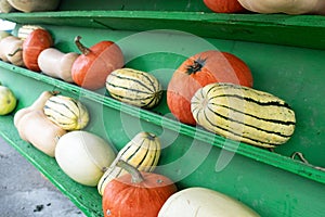 Gourds on Display at a Farmer`s Market photo