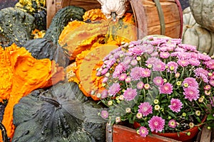 Gourds and Flower