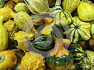 Gourds, Harvest Mixture, Hard shelled, used as ornamentation