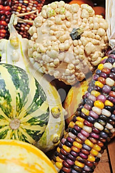 Gourds And Indian Corn