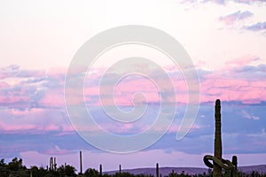 Gourgous Sunset in the Arizona Desert