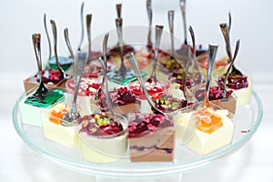 gourmet appetizers on the plate beautifully decorated cakes