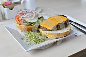 Gourmet Cheese Burger