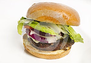 Gourmet cheese burger photo