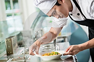 Gourmet chef plating up a dish of food photo