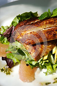 Gourmet chicken and citrus salad