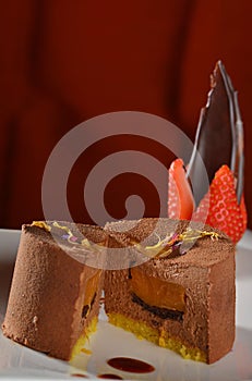 Gourmet chocolate cake