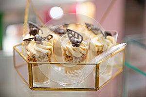 Gourmet coffee-flavored desserts with creamy topping and chocolate garnish