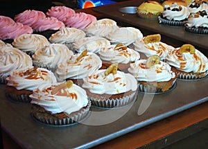Gourmet Cupcakes in Bakery