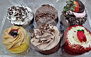 Gourmet Cupcakes In A Plastic Container