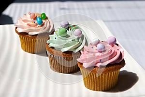 Gourmet decorated cupcakes