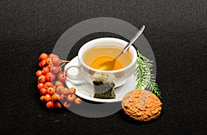 Gourmet delicious taste. Ceramic cup hot fresh brewed tea beverage. Health care folk remedies. Drink aromatic beverage