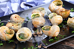 Gourmet dish - Snails with herbs, butter