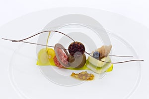Gourmet dish on a white plate. Food background.