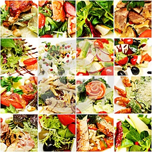 Gourmet Food Background. Salad Collage