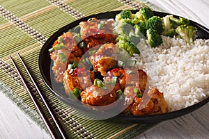 Gourmet Food: chickenTso's with rice, onions and broccoli close-