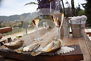 Gourmet food Oysters on salt served on wooden board aciculate culture to pair with rosÃÂ© and red wine photo
