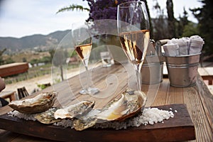 Gourmet food Oysters on salt served on wooden board aciculate culture to pair with rosÃ© and red wine