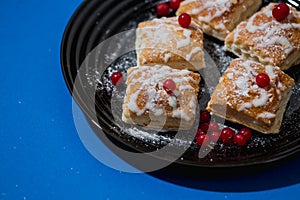 Gourmet French pastries decorated with red currant berries